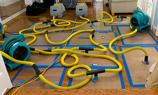 Professional Crawl Space Water Removal technician working in Houlton, WI